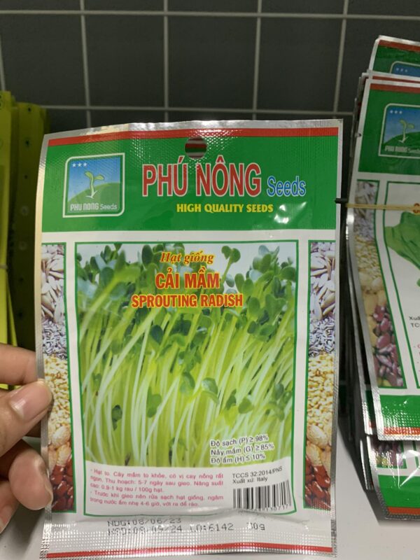 cải mầm