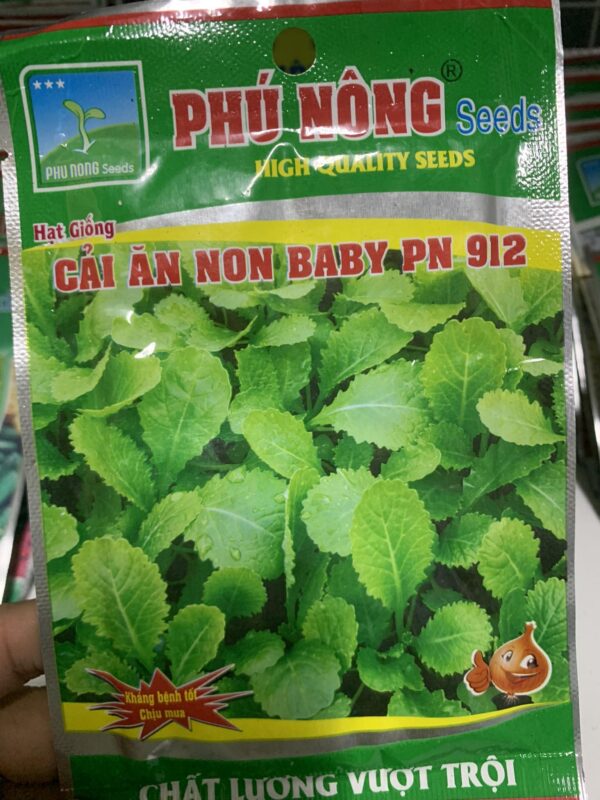 hạt giống cải ăn non