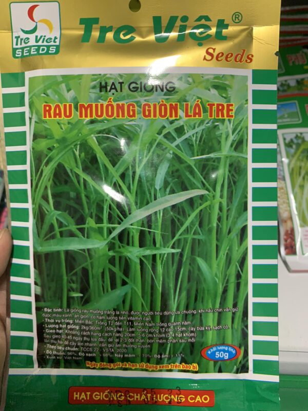 hạt giống rau muống giòn lá tre
