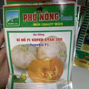 hạt giống bí đỏ