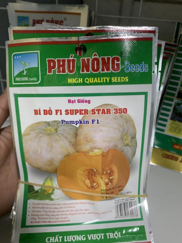 hạt giống bí đỏ