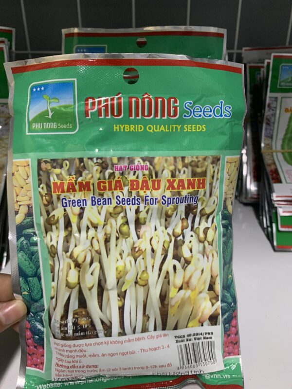 hạt giống mầm giá đậu xanh