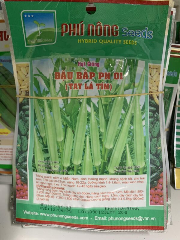 hạt giống đậu bắp